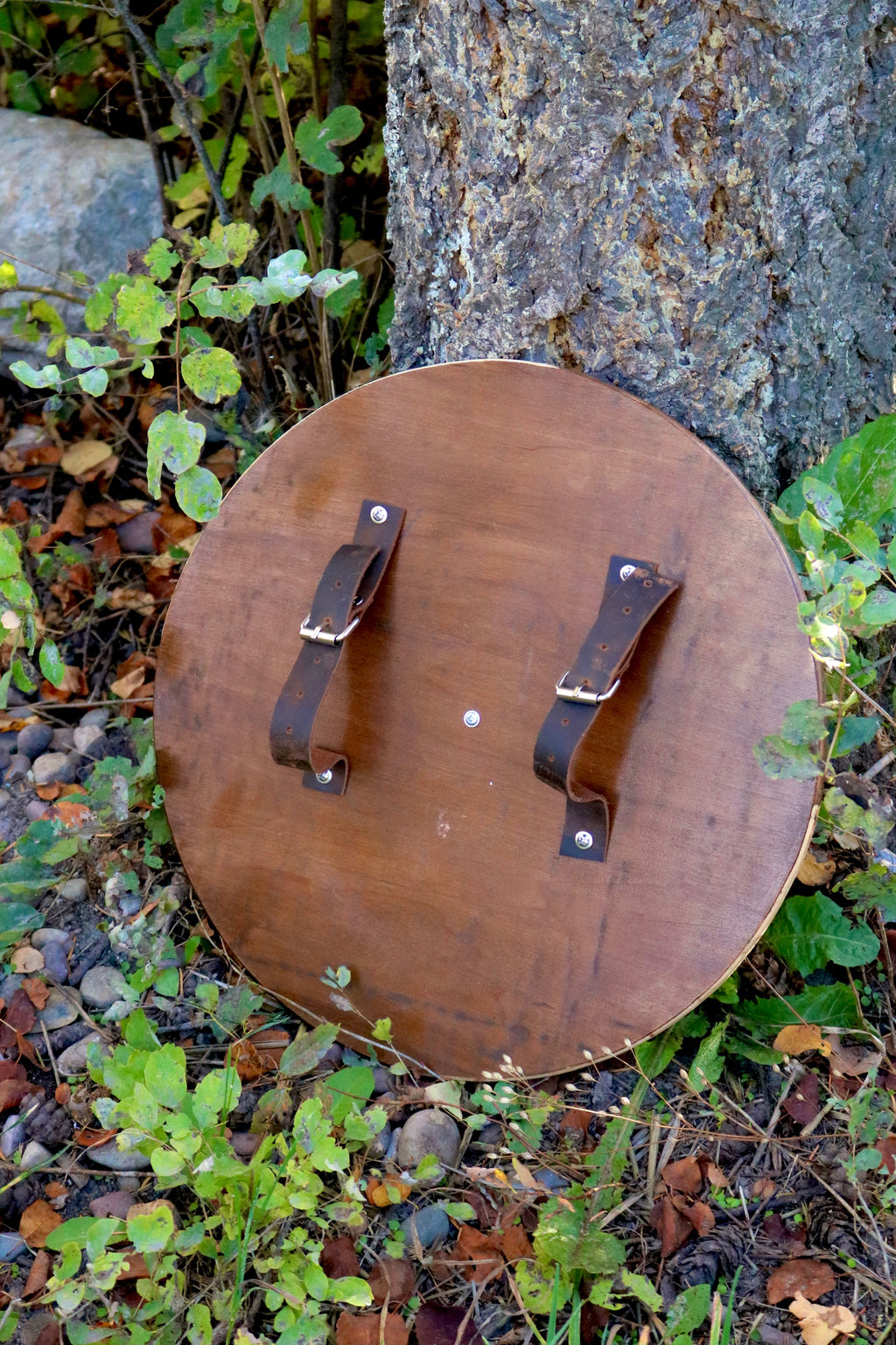 Viking shield