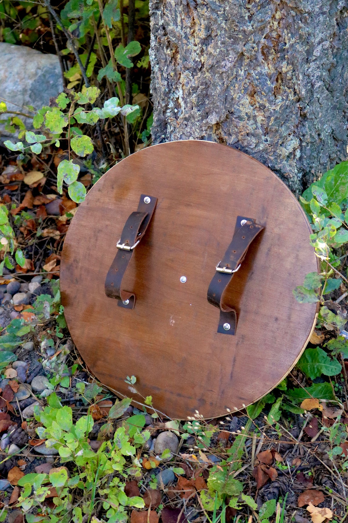 Viking shield