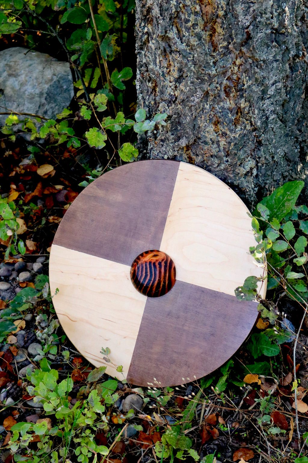 Viking shield