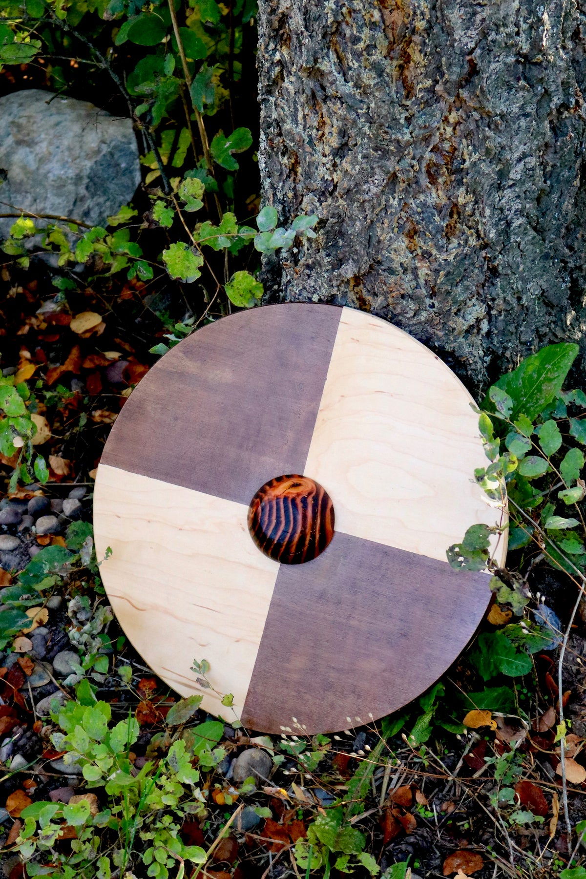 Viking shield