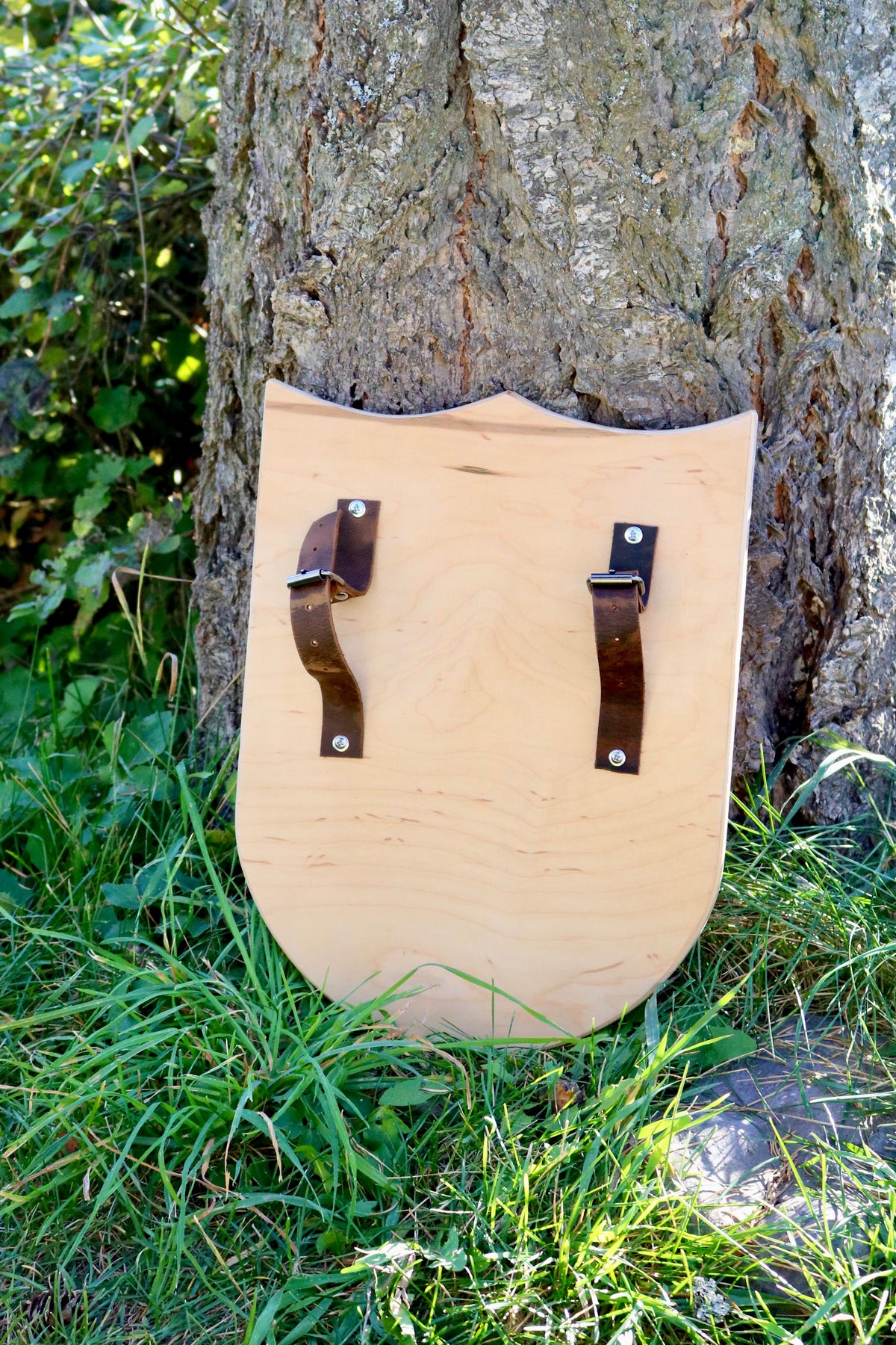 Lion Wooden Shield