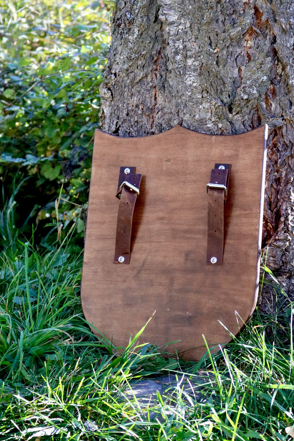Dragon with Wings Wooden Shield